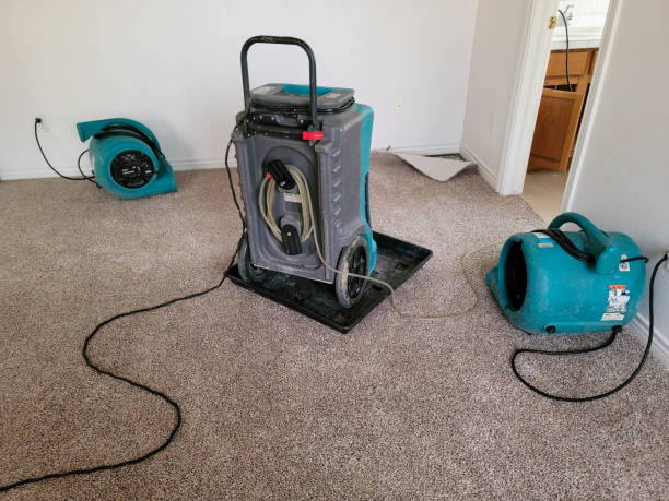 Best Commercial water damage restoration  in Long Branch, NJ