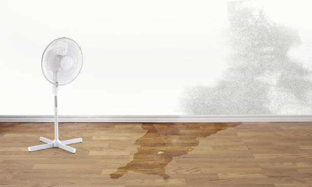 Best Water damage cleanup near me  in Long Branch, NJ