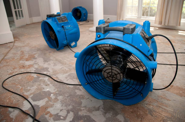 Best Water damage restoration near me  in Long Branch, NJ