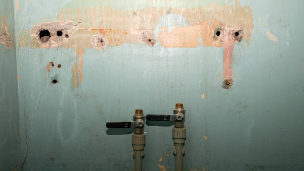 Best Commercial water damage restoration  in Long Branch, NJ