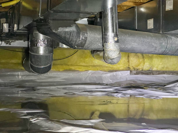 Best Flood restoration services  in Long Branch, NJ