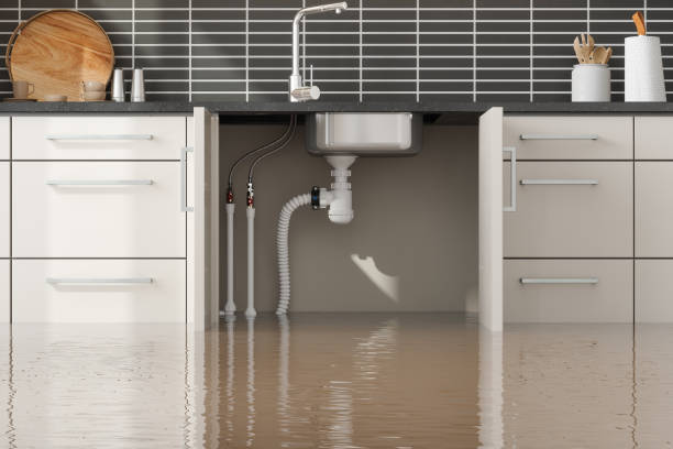 Best Flooded house restoration  in Long Branch, NJ
